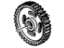 GM 10083170 Camshaft Gear