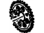 GM 24506089 Camshaft Gear