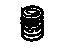 GM 10124698 Valve Springs