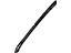 GM 15824890 Side Molding, Passenger Side