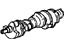 GM 10243070 Crankshaft