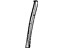 GM 22780333 Rear Molding, Front Passenger Side
