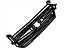 GM 10230161 Grille, Black