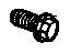 GM 11515203 Heat Shield Screw