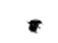 GM 11611050 Nut, Cab And Load Carrier Outer Side Decoration