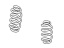 GM 23158163 Spring, Suspension, Front