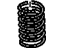 GM 15266733 Spring, Rear Spring, Passenger Side