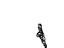 GM 25901987 Adjuster, Driver Side