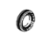 GM 23341259 Axle Seals, Rear