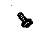 GM 11589045 Bolt, Rear Quarter And Roof Rail Assist Strap