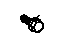 GM 15709065 Pulley Bolt
