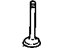 GM 10040226 Intake Valve