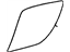 GM 15952186 Stone Guard, Passenger Side