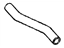 GM 10170194 Upper Hose