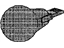 GM 19355643 Signal Lamp Bulb