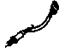 GM 12565414 Sensor, Computer Control Sensors