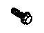 GM 11515203 Heat Shield Screw
