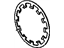 GM 24234736 Spring, Transmission Clutch