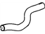 GM 25641167 Lower Hose