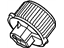 GM 19130002 Blower Assembly