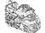 GM 19355303 Transaxle