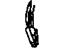 GM 20159855 Tail Lamp Pocket, Passenger Side