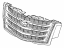 GM 23405569 Grille, Radiator Grille, Front Upper