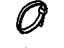 GM 9279238 Rear Hose Strap