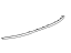 GM 84371054 Molding, Rear