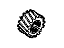 GM 19209010 Gear, Transmission First/Reverse Gear