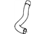 GM 10230746 Lower Hose