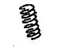 GM 88972332 Valve Springs