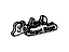 GM 22648476 Nameplate, Black