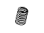 GM 96990215 Valve Springs