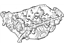 GM 12674216 Cylinder Head