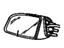 GM 88896761 Mirror Outside, Rear Driver Side