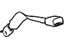 GM 19180085 Lap Belt, Rear