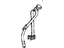 GM 12522948 Outer Belt, Passenger Side