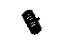 GM 19178544 Spring, Transmission Shift Shaft Detent