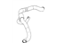 GM 22804762 Lower Hose