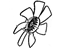 GM 21999768 Cooling Fan, Driver Side
