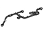 GM 25736009 Wire Harness, Rear