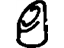 GM 10150918 Spacer, Hood Panel Ornamentation