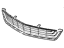 GM 42739819 Lower Grille