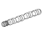 GM 55565289 Camshaft, Engine