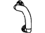 GM 15940264 Hose, Emission System