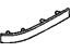 GM 10053200 Side Molding, Passenger Side
