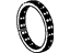 GM 24257481 Spring, Transmission Forward Cone Flywheel