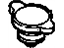 GM 97177848 Radiator Cap
