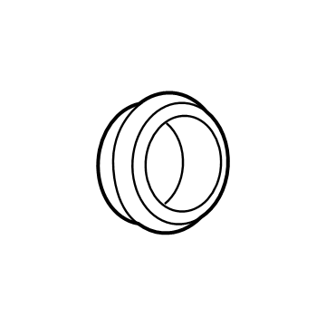 GM 12688102 Center Seal